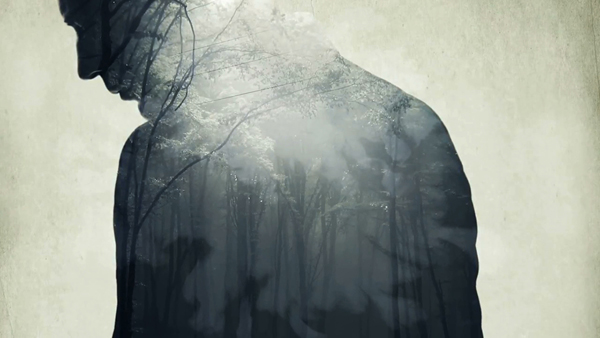 c1096b32312769.56dcc597d891b